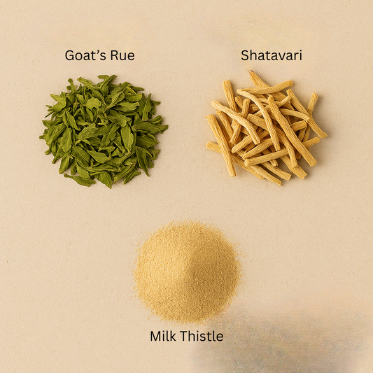 Barista Blend Lactation Supplement